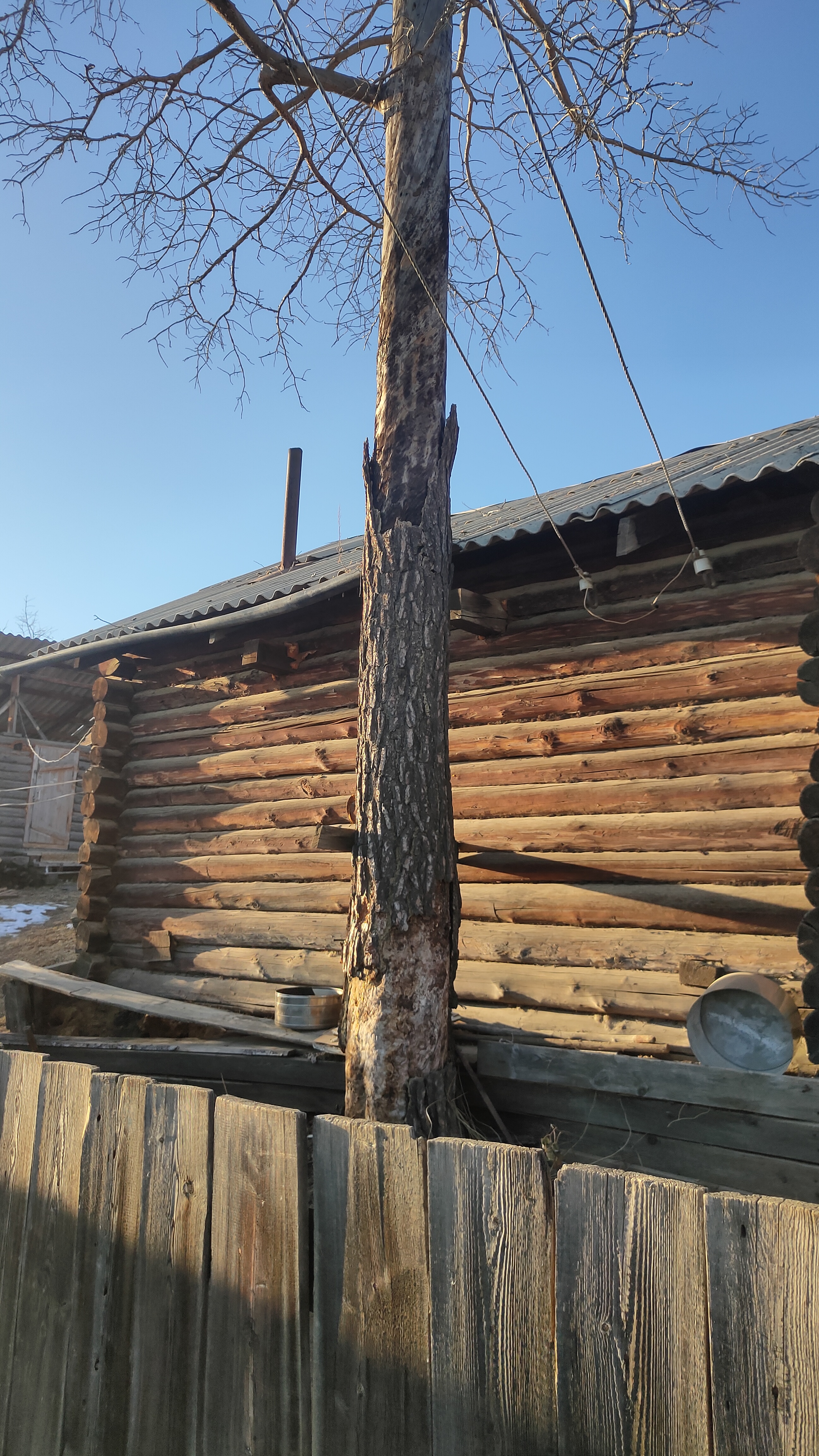 Индивидуальный гараж, назначение: нежилое, 1 этаж (в т.ч. подземных 0), к/н 75:27:080102:1044, площадь 28,0 кв. м, расположенное по адресу: Забайкальский край, Тунгокоченский район, с .Верх-Усугли, хоз. постройки № 5, в районе Металлургов и «Казначейства», участок №10, расположенный на земельном участке, категория земель: земли населенных пунктов, виды разрешённого использования: для ведения личного подсобного хозяйства.