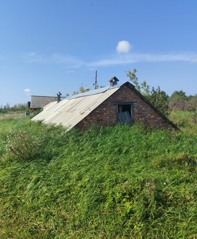Нежилое здание – омшанник кирпичный, площадью 61 кв.м., кадастровый номер: 74:20:1101001:33, реестровый номер: П12260001845, по адресу: Челябинская область, р-н Троицкий, Нижнесанарское поселение, п. Ягодный,ул.Лесная, д.18. Целевое назначение: нежилое