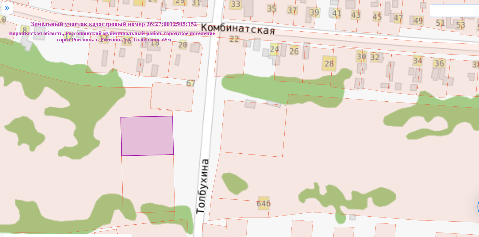 земельный участок с кадастровым номером 36:27:0012505:152, расположенный по адресу: Воронежская область, Россошанский муниципальный район, городское поселение – город Россошь, г. Россошь, ул. Толбухина, 65м, площадью 1862 кв.м, категории земель населенных пунктов, с видом разрешенного использования – хранение автотранспорта.