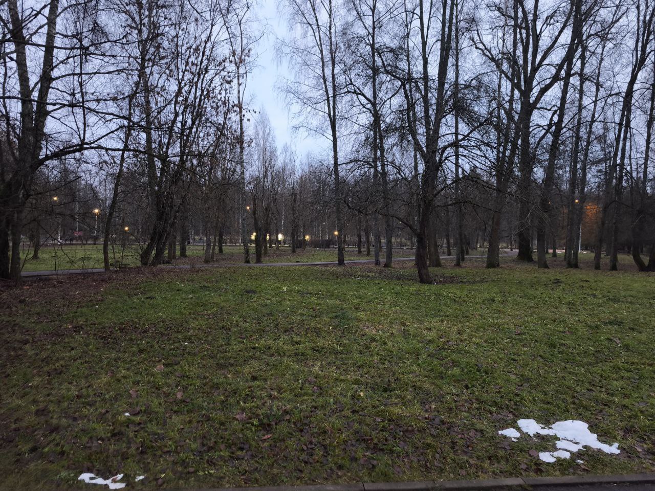 Право на размещение объекта бизнеса на территории парка городского округа Клин Московской области