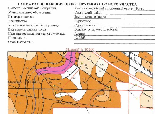 Право на заключение договора аренды лесного участка для ведения сельского хозяйства (выращивание сельскохозяйственных культур)