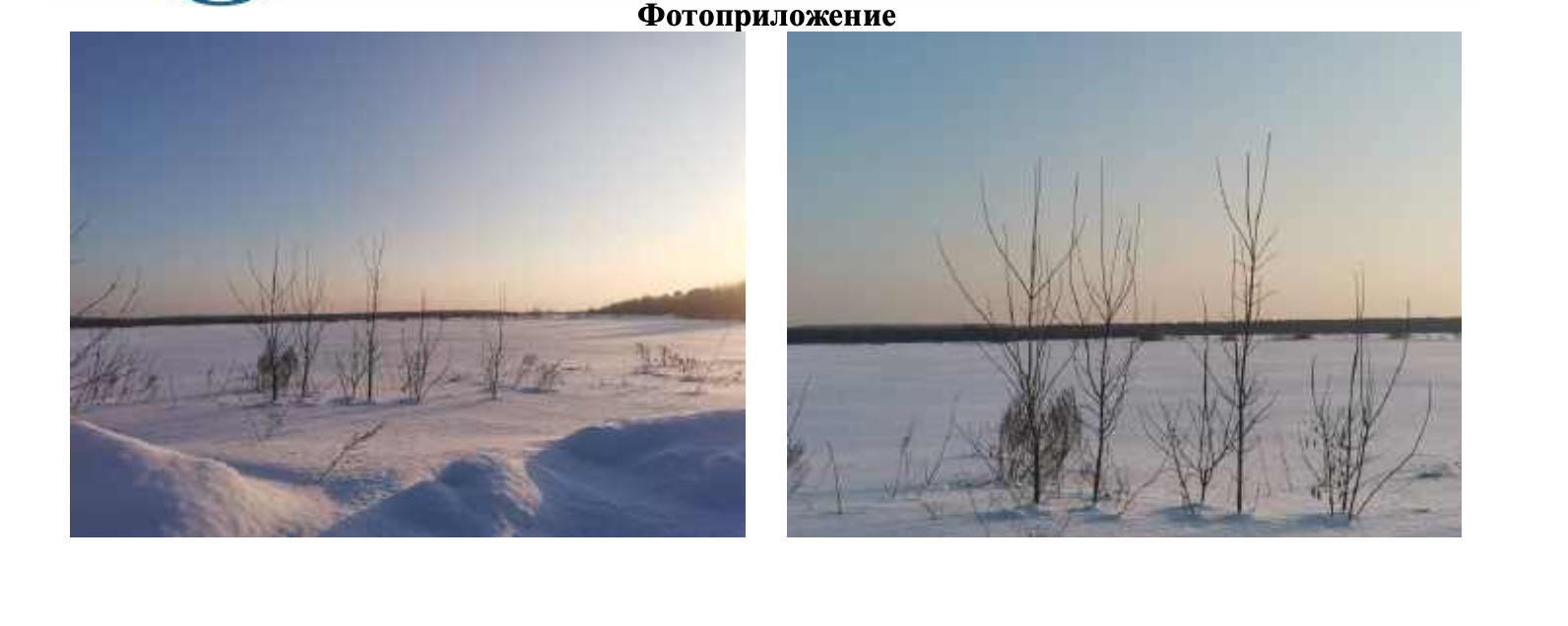 Земельный участок площадью 1200 кв. м, категория земель – земли сельскохозяйственного назначения, виды разрешенного использования – для сельскохозяйственного производства, кадастровый номер 18:08:044001:3360, местонахождение: Удмуртская Республика, Завьяловский р-н, ДНТ «ЕвроДача», ул. Центральная, 10.