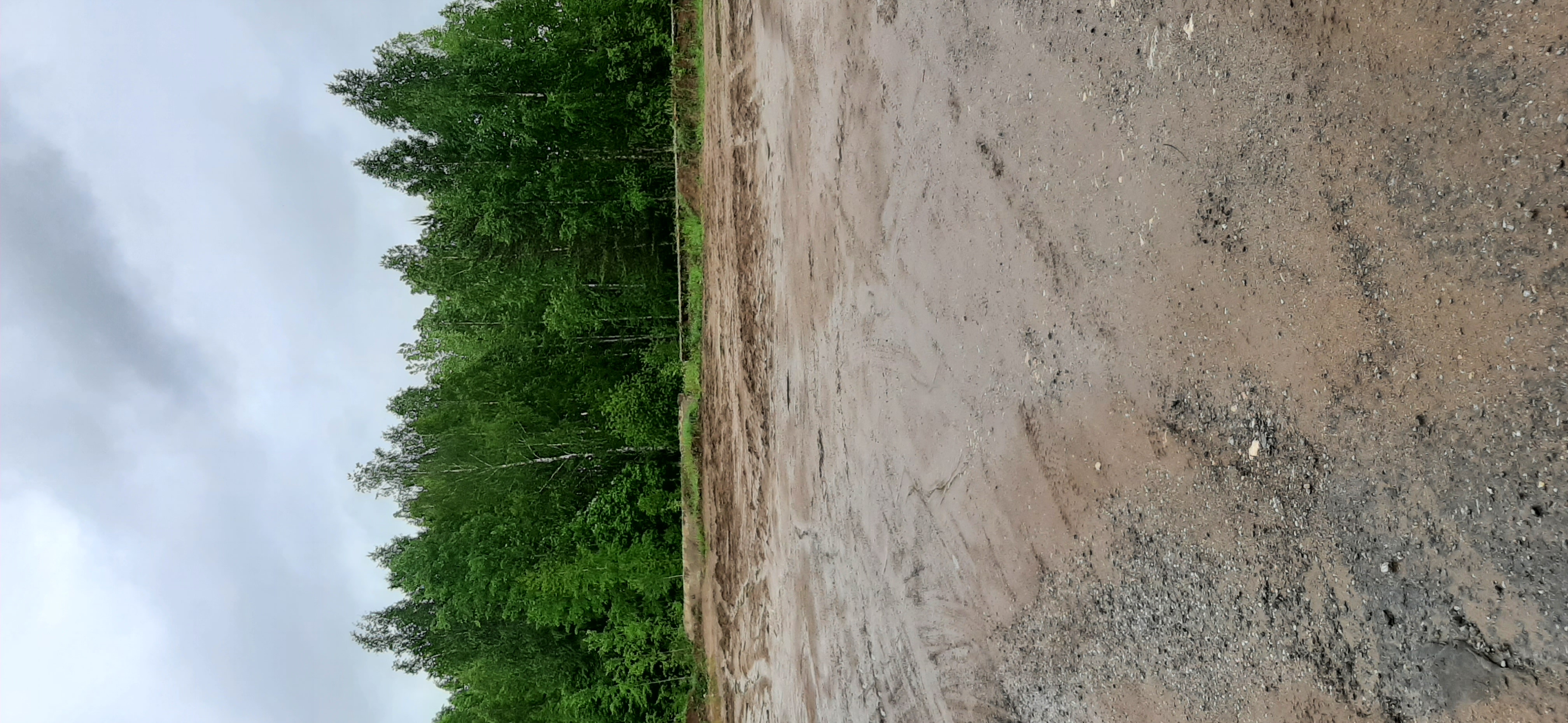 Ежегодный размер арендной платы земельного участка с кадастровым номером 43:13:562101:93