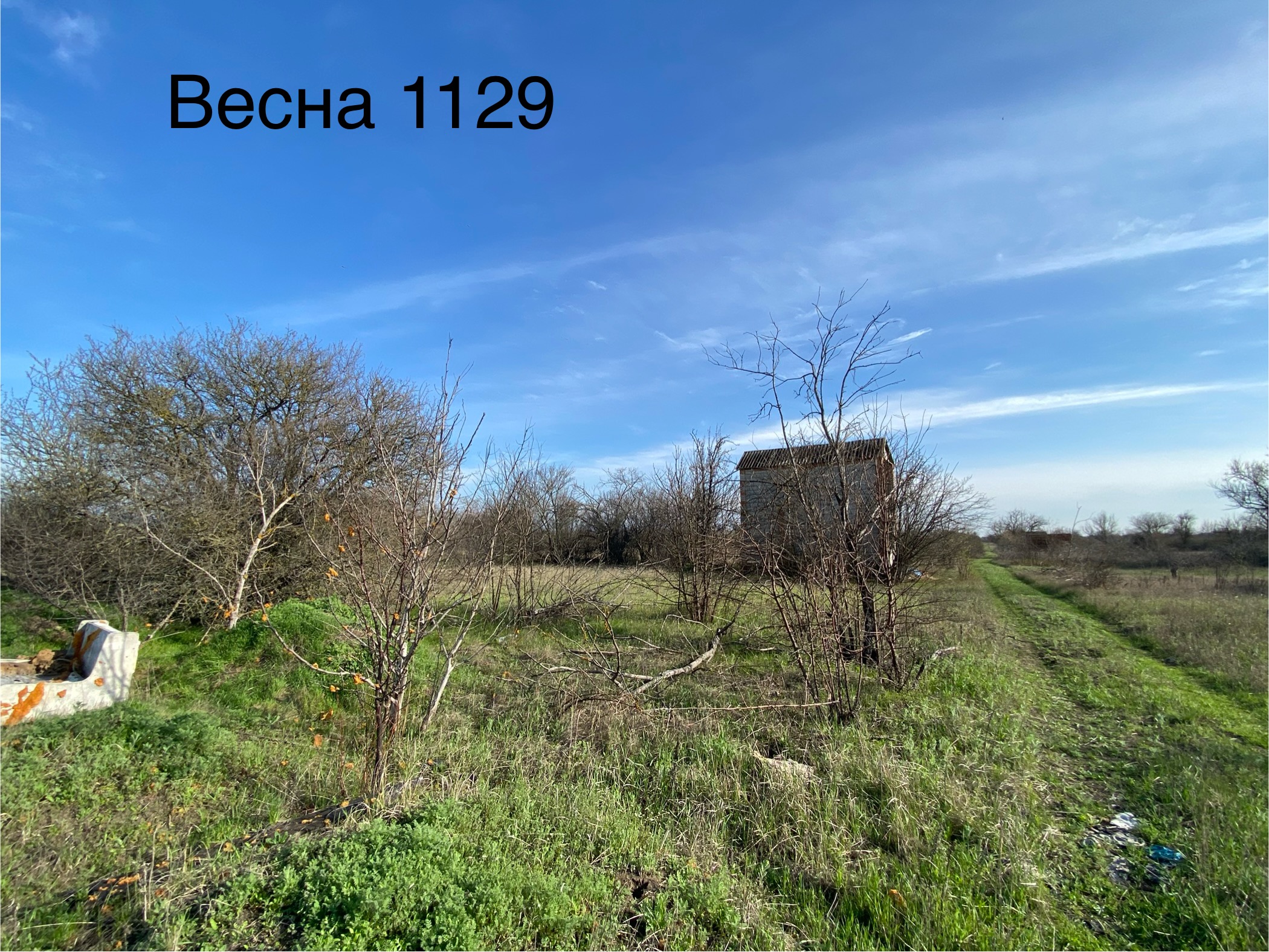 Продажа права на заключение договора аренды земельного участка, расположенного в  г. Ейске, СТ «Весна», участок 1129