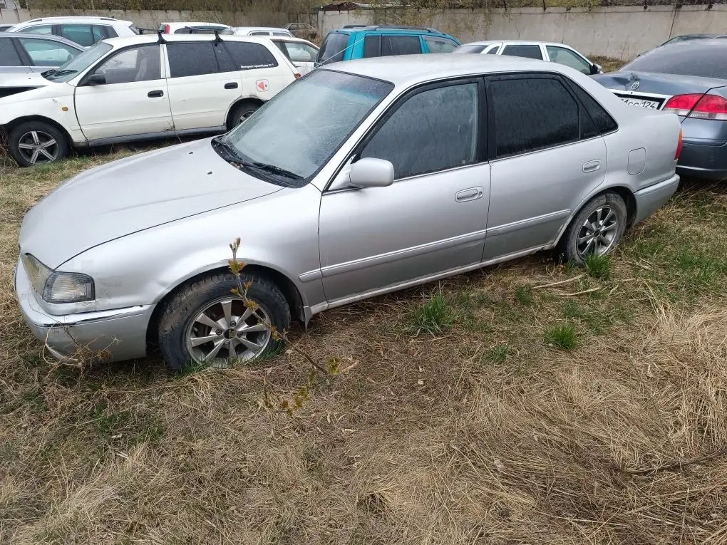 Автомобиль TOYOTA SPRINTER, г/н Н878ХВ124, 1987 г.в., кузов AE1103018542, двигатель № Н269097, цвет серый. Рабочее состояние, и комплектность автомобиля не проверялось. Находится в г. Красноярск, данное имущество обращено в доход государства (Документы, ключи отсутствуют). (2640/25)