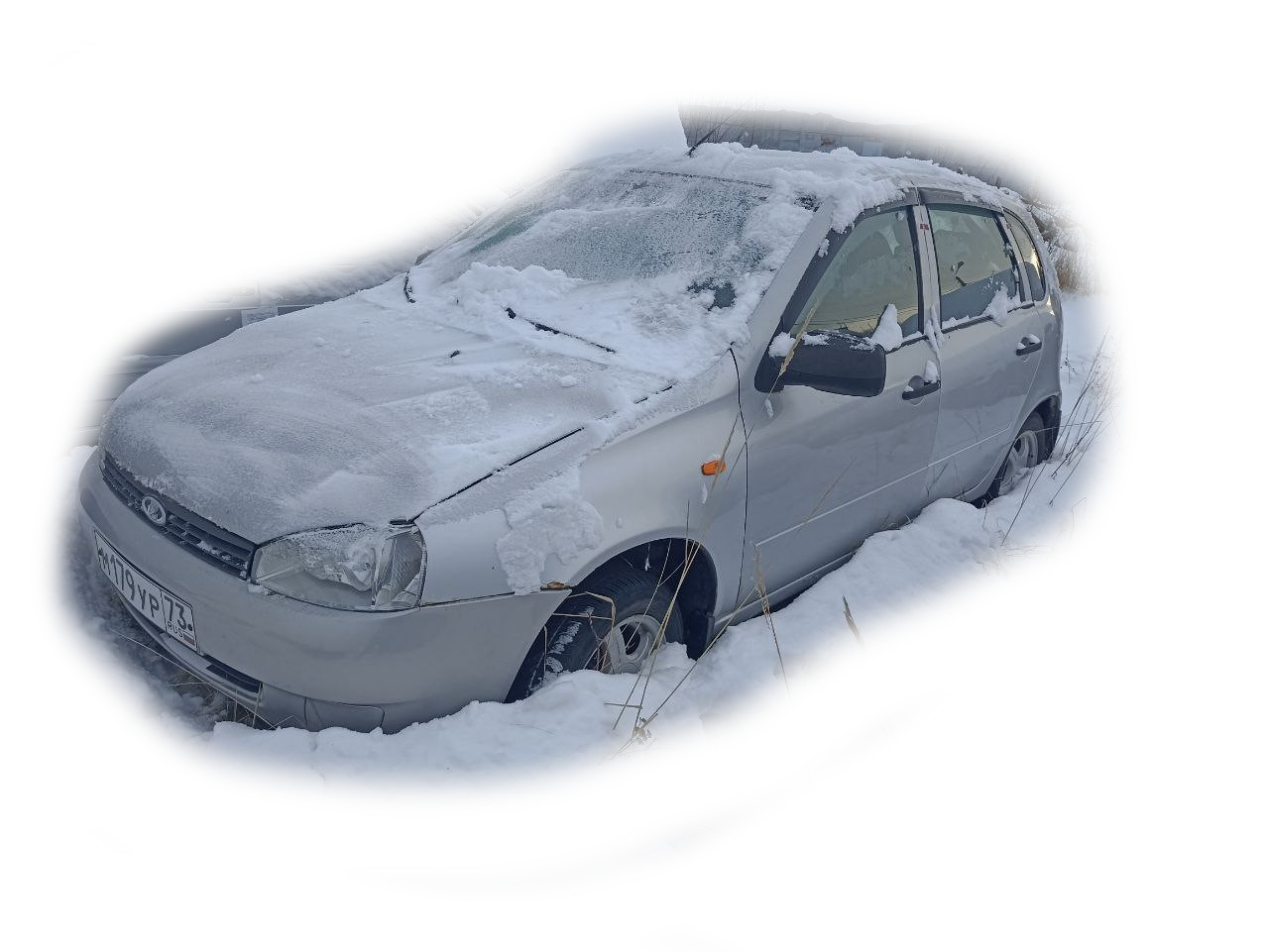 Лада Калина (179)