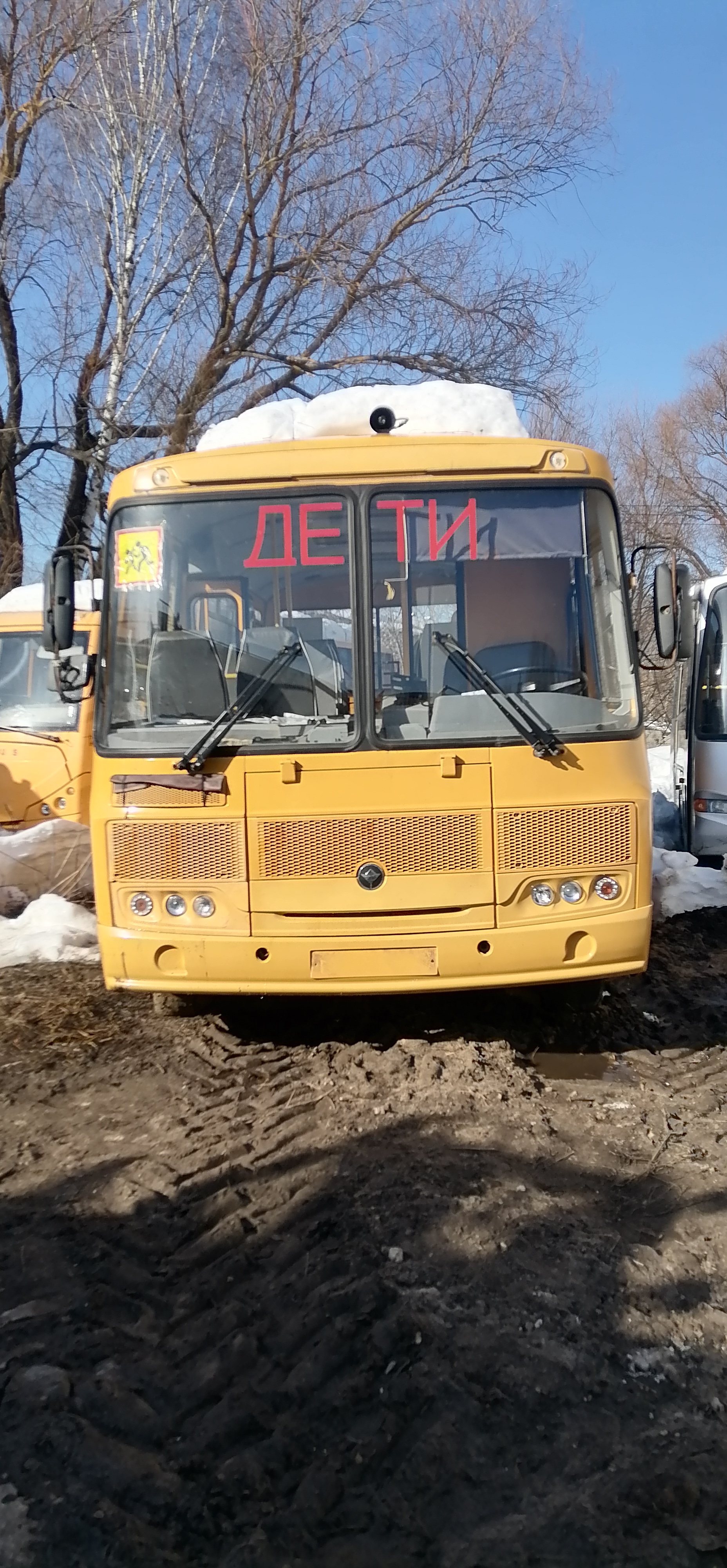 Автобус для перевозки детей ПАЗ 32053-70, идентификационный номер (VIN) Х1М3205ВХG0000415, год изготовления – 2016