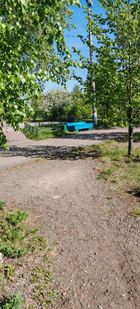 размещение нестационарного торгового объекта