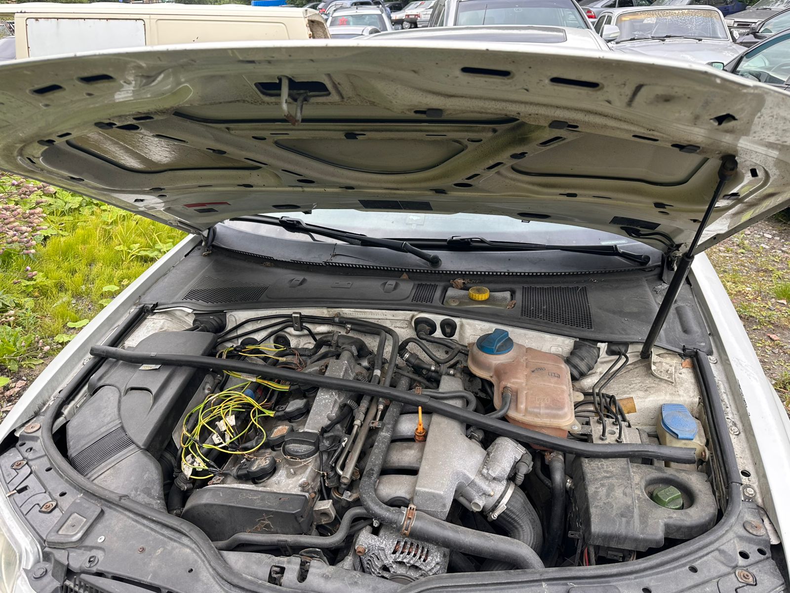 Автомобиль марки «Фольксваген Пассат» («VOLKSWAGEN PASSAT»), государственный регистрационный знак фактически отсутствует, белого цвета, 2001 года выпуска VIN: WVWPD63B92P073753.