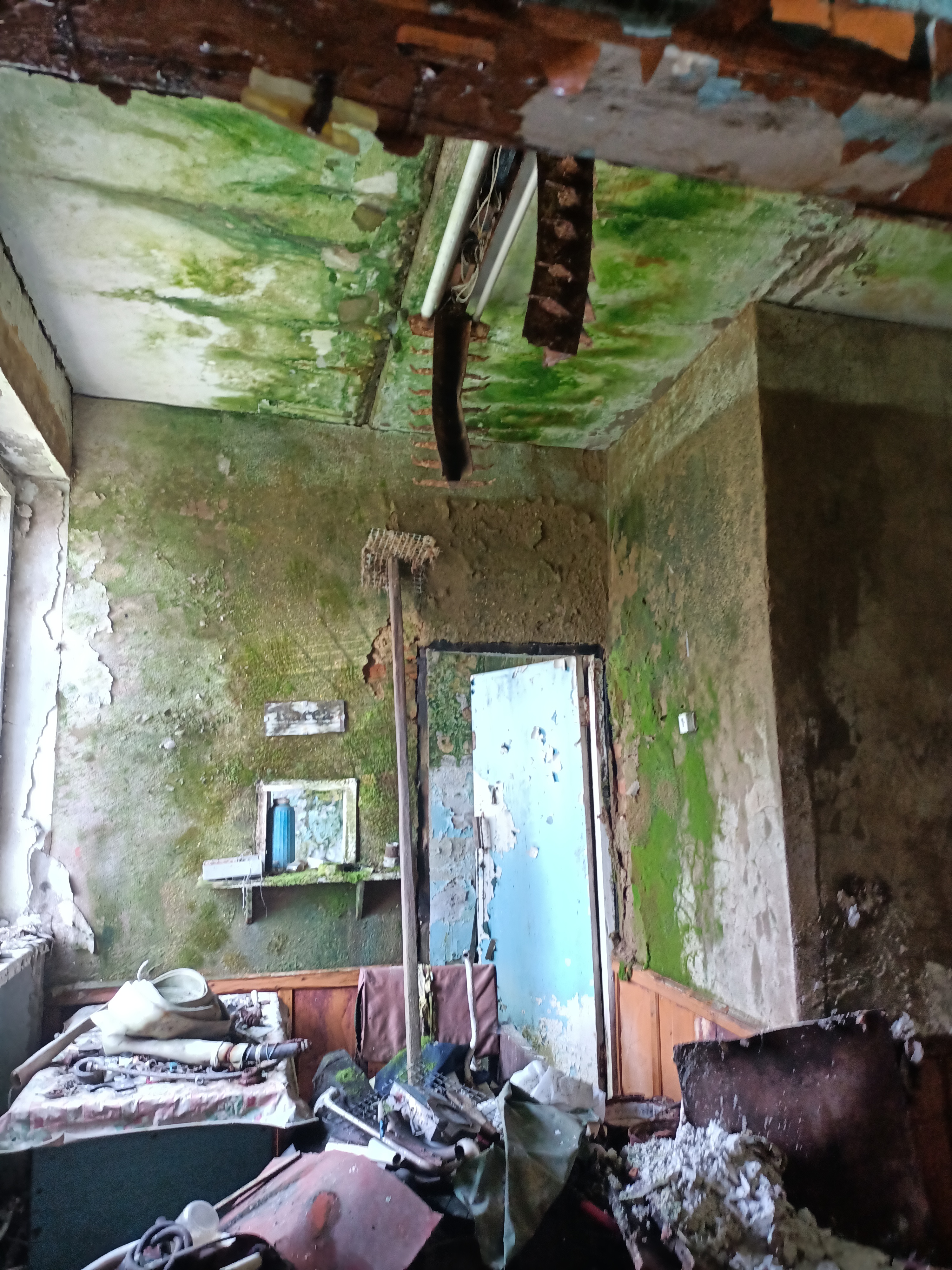 Административное здание, нежилое, общей площадью 131,7 кв.м., этажность: 1, в том числе 0 подземный, кадастровый номер 25:35:090101:443, местоположение: Приморский край, городской округ ЗАТО Фокино, пгт. Путятин, ул. Нагорная, д. 21В
