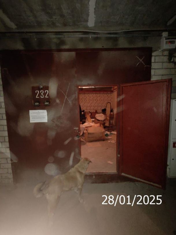 Нежилое помещение (гаражный бокс №232) (этаж № 5) общей площадью 21,8 кв.м, кадастровый номер 52:18:0060217:6178, расположенное по адресу: Российская Федерация, Нижегородская область, г. Нижний Новгород, ул.К.Касьянова, 4б, гаражный кооператив «Надежда»
