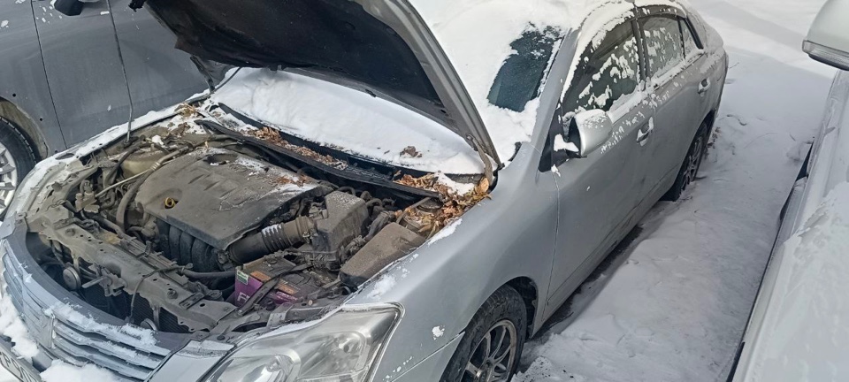 Автомобиль марки Toyota Premio, государственный регистрационный знак Р903ЕА27, по данным ответа ГИБДД номер кузова ZRT2653007628, номер двигателя А223629, объём двигателя (куб.см)-1797, цвет кузова серый, имеет жизненные повреждения по корпусу, на ходу, номера агрегатов совпадают, салон чистый.