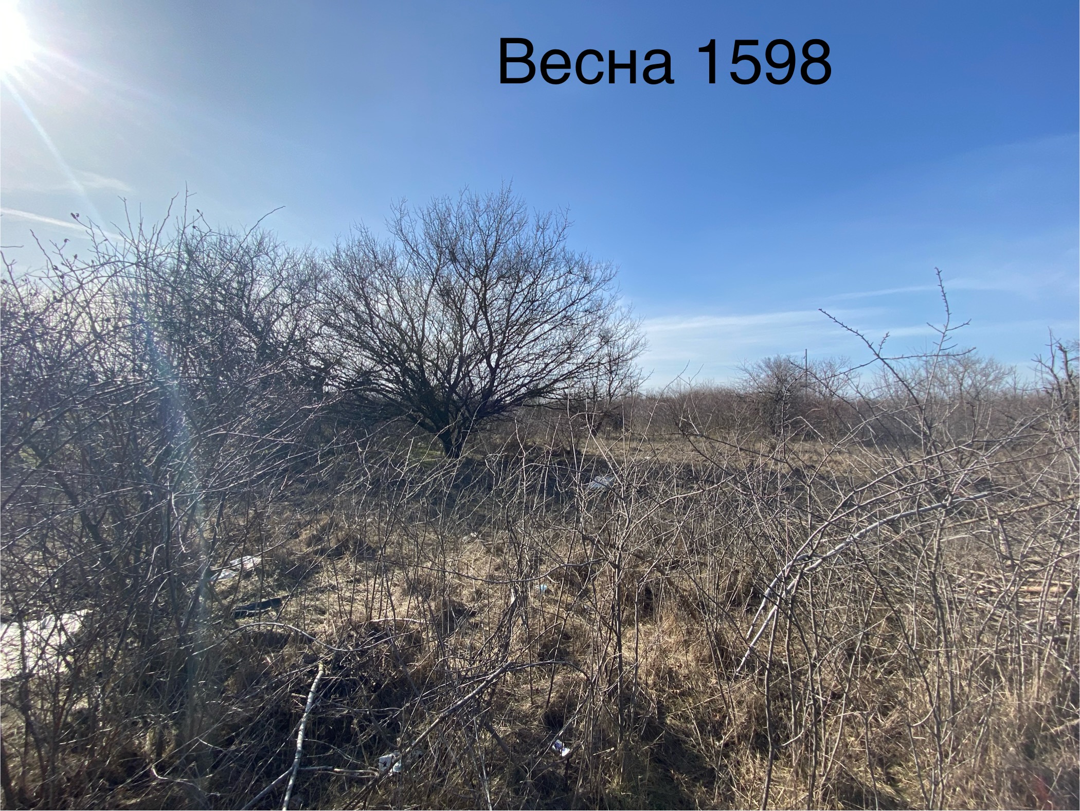 Продажа права на заключение договора аренды земельного участка, расположенного по адресу: Краснодарский край, Ейский район, г. Ейск, с/т «Весна», участок 1598