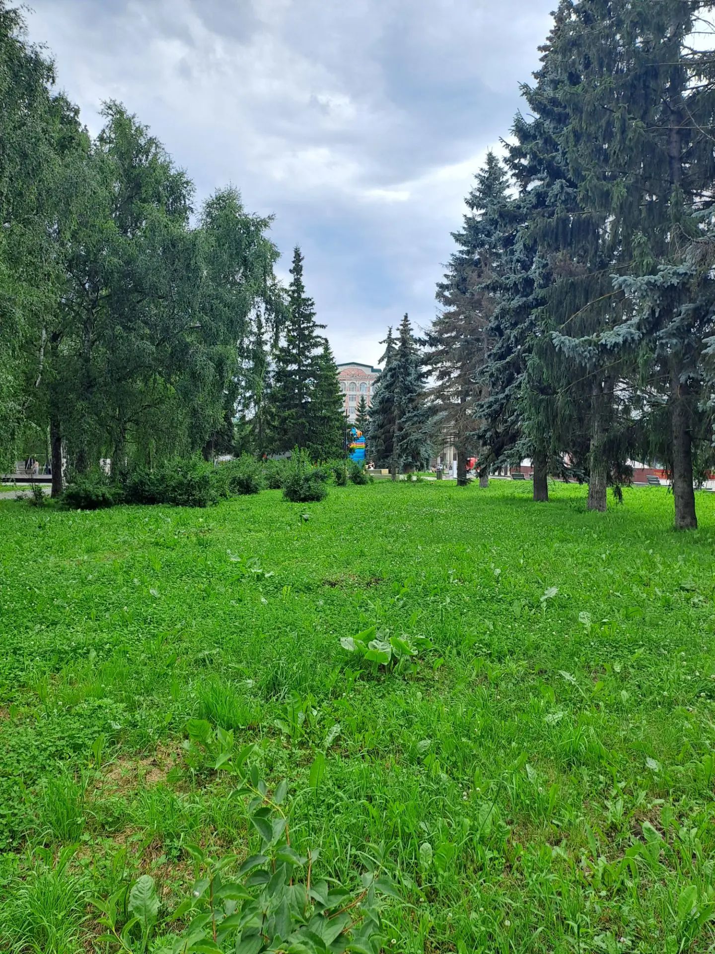место установки батутов