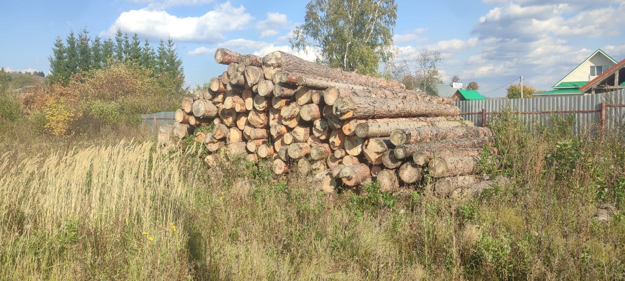 Древесина хвойных пород 96,165 куб.м.