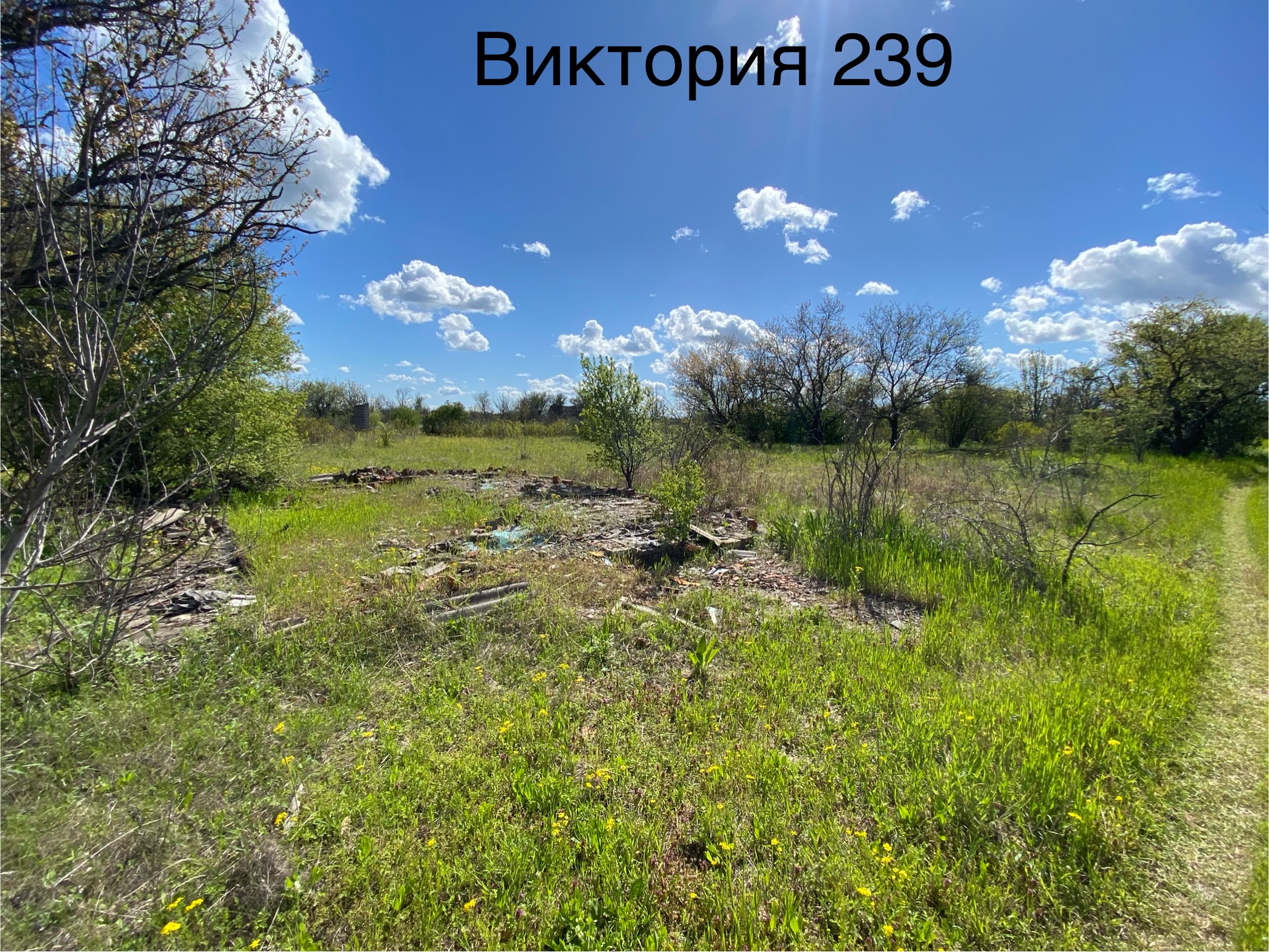 Продажа права на заключение договора аренды земельного участка, расположенного в г. Ейске, СТ «Виктория», участок 239