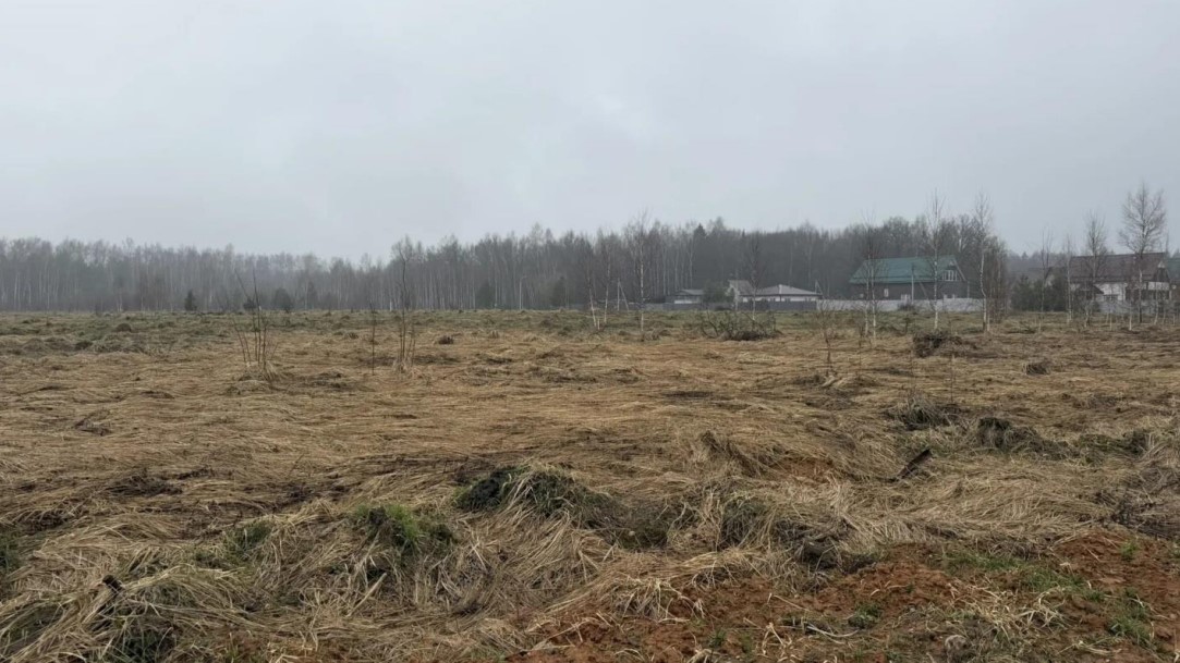 Аукцион в отношении земельного участка с КН 50:32:0040202:1259