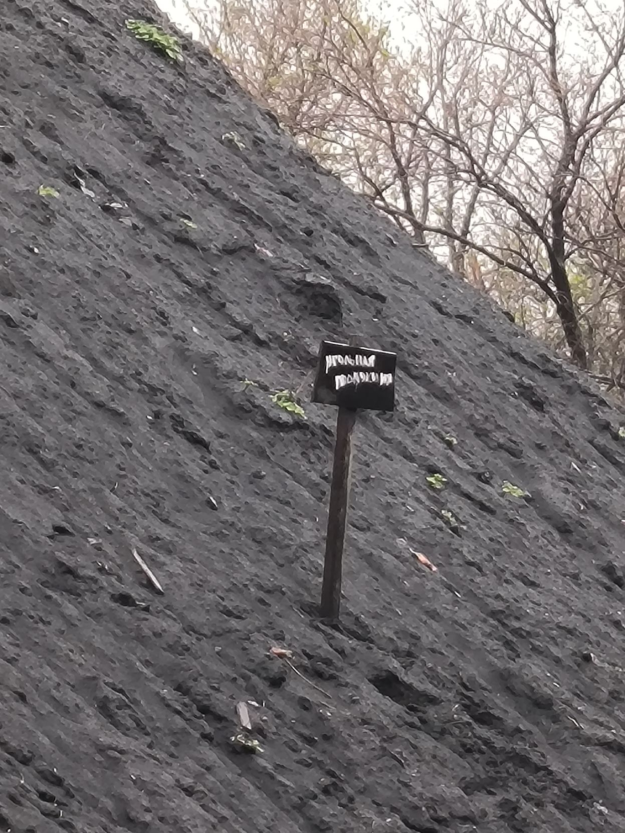 Должник ООО «УГЛЕКОМ». Уголь КР (коксовый рядовой), 2500,24 тонн