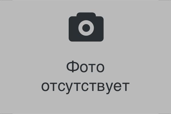 сосна – 3197, 436 м3 (деловая древесина -1586,420 м3, дрова-1611,016 м3). Итого: 3197, 436 м3.