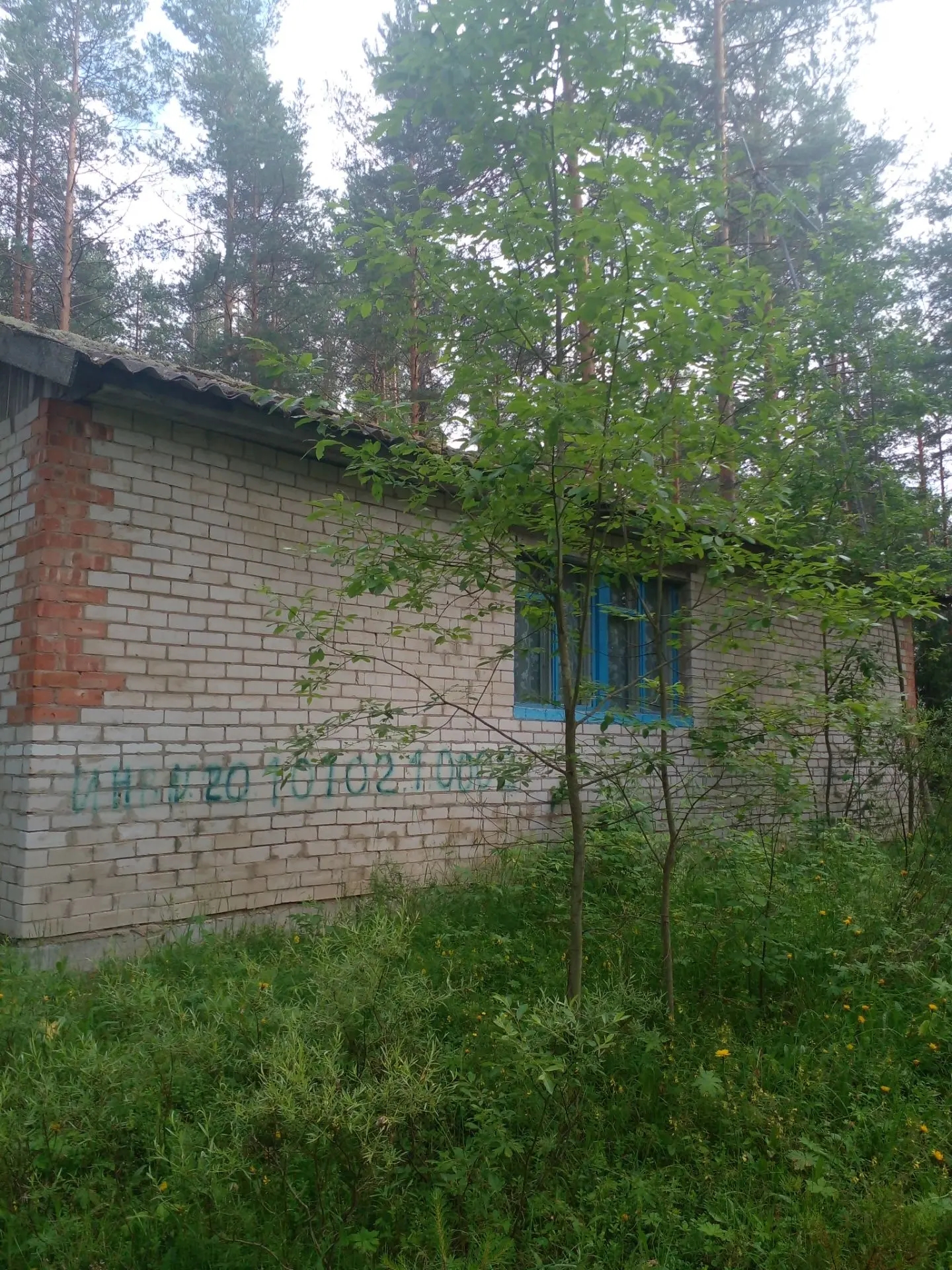 Нежилое здание (кардон), площадь 57,2 кв.м; земельный участок, площадь 3953 кв.м, расположенные по адресу: Новгородская область, м.о. Хвойнинский, д. Миголощи