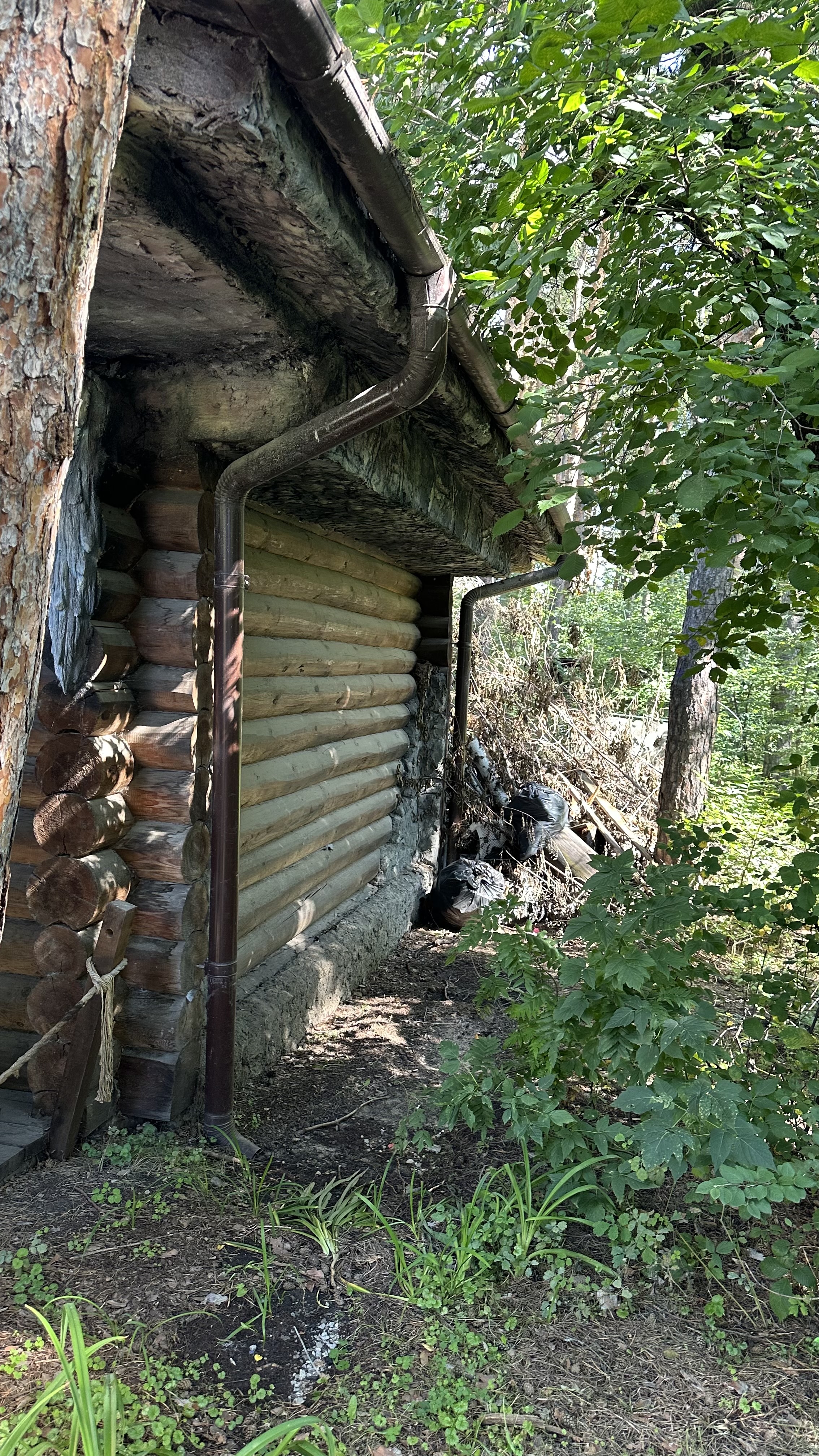 Право заключения договора аренды движимого имущества (киоски бревенчатые), находящегося в муниципальной собственности города Челябинска и закрепленного на праве оперативного управления за МБУК «Зоопарк»
