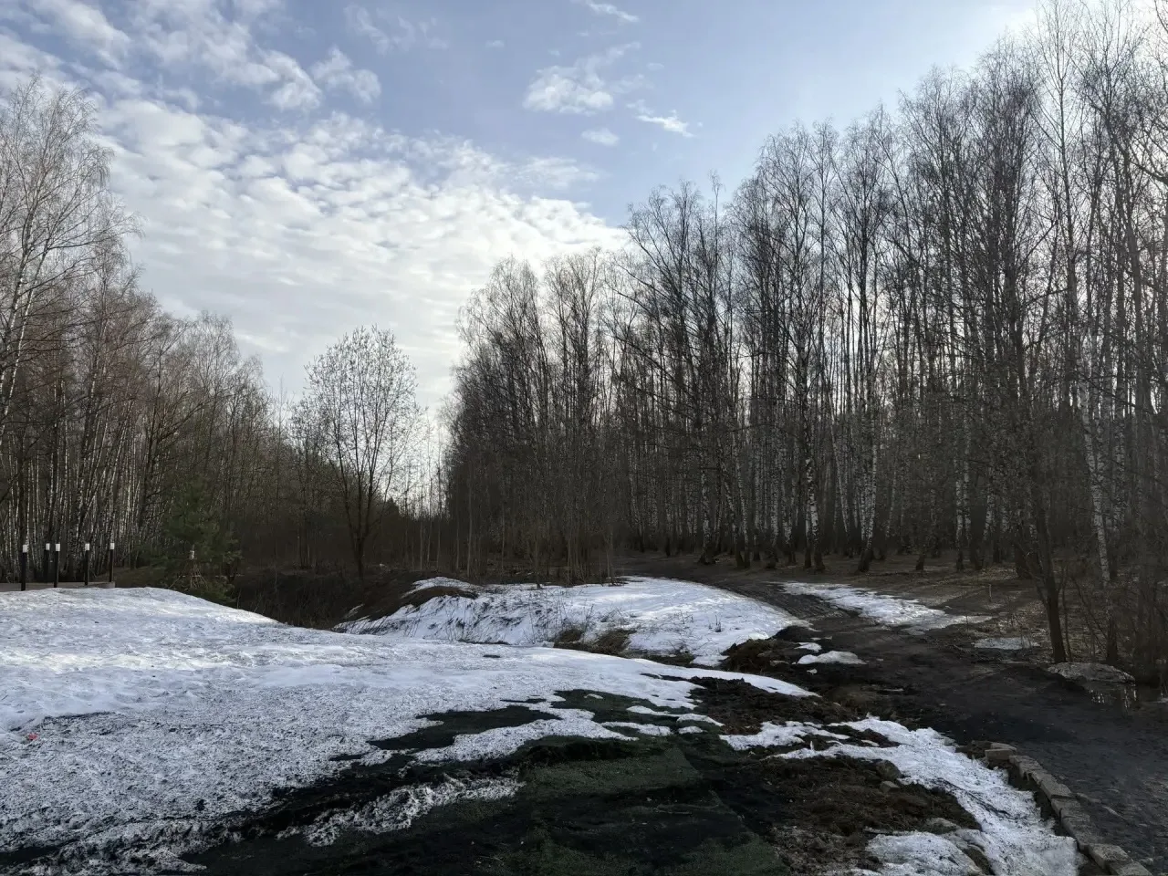 площадка 150 кв м