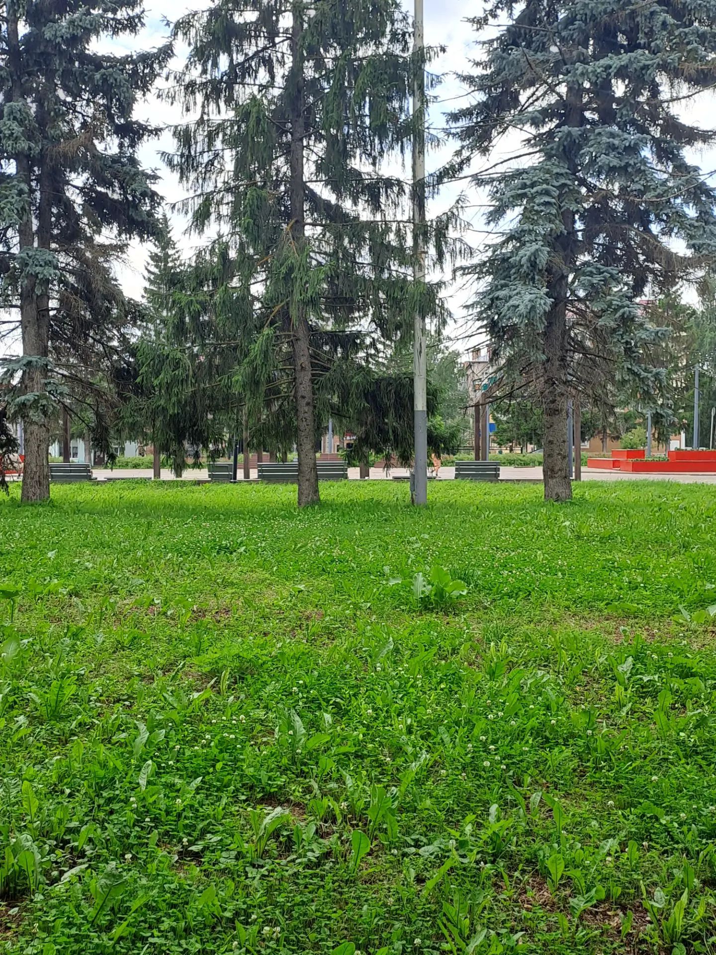 место установки батутов