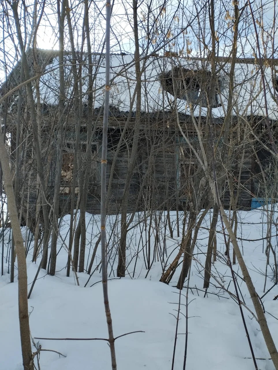 Нежилое помещение по адресу: Нижегородская область, муниципальный округ Вадский, сельский поселок Анненковский Карьер, улица Зеленая, дом 6, помещение 2.