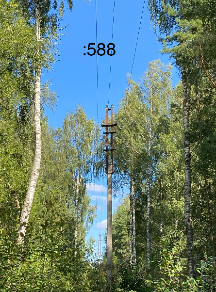 Аукцион в электронной форме