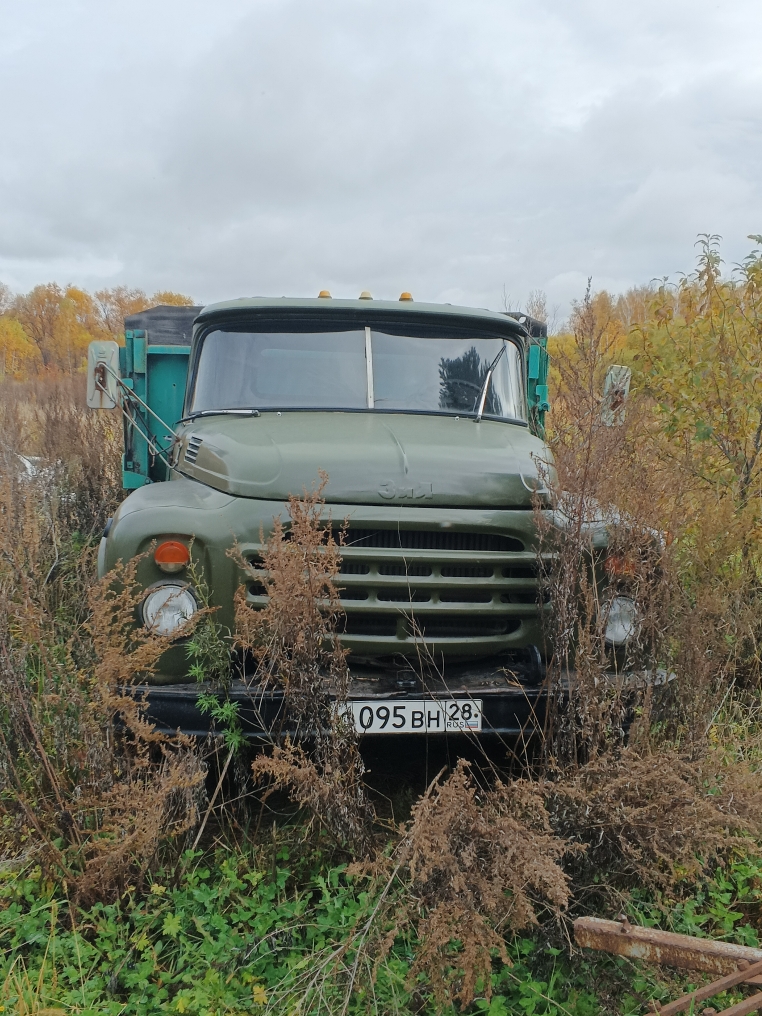 Грузовой автомобиль ЗИЛ - ММз – 554 М, гос. регистрационный знак О 095 ВН, год изготовления 1990 г.; идентификационный номер отсутствует; модель № двигателя – 508.400 556675; шасси (рама) №2988207; кузов (прицеп) № отсутствует; цвет кузова (кабины) – зеленый; тип двигателя – бензиновый