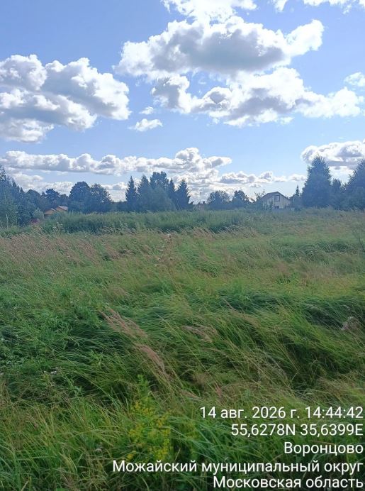 Аукцион в отношении земельного участка с КН 50:18:0040203:435