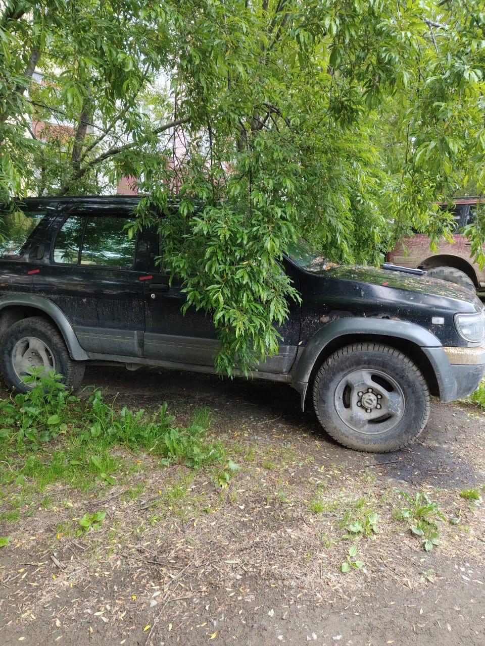 А/м "Ниссан ТЕРРАНО", г.р.з. А553ВА41rus, 1990 г.в.