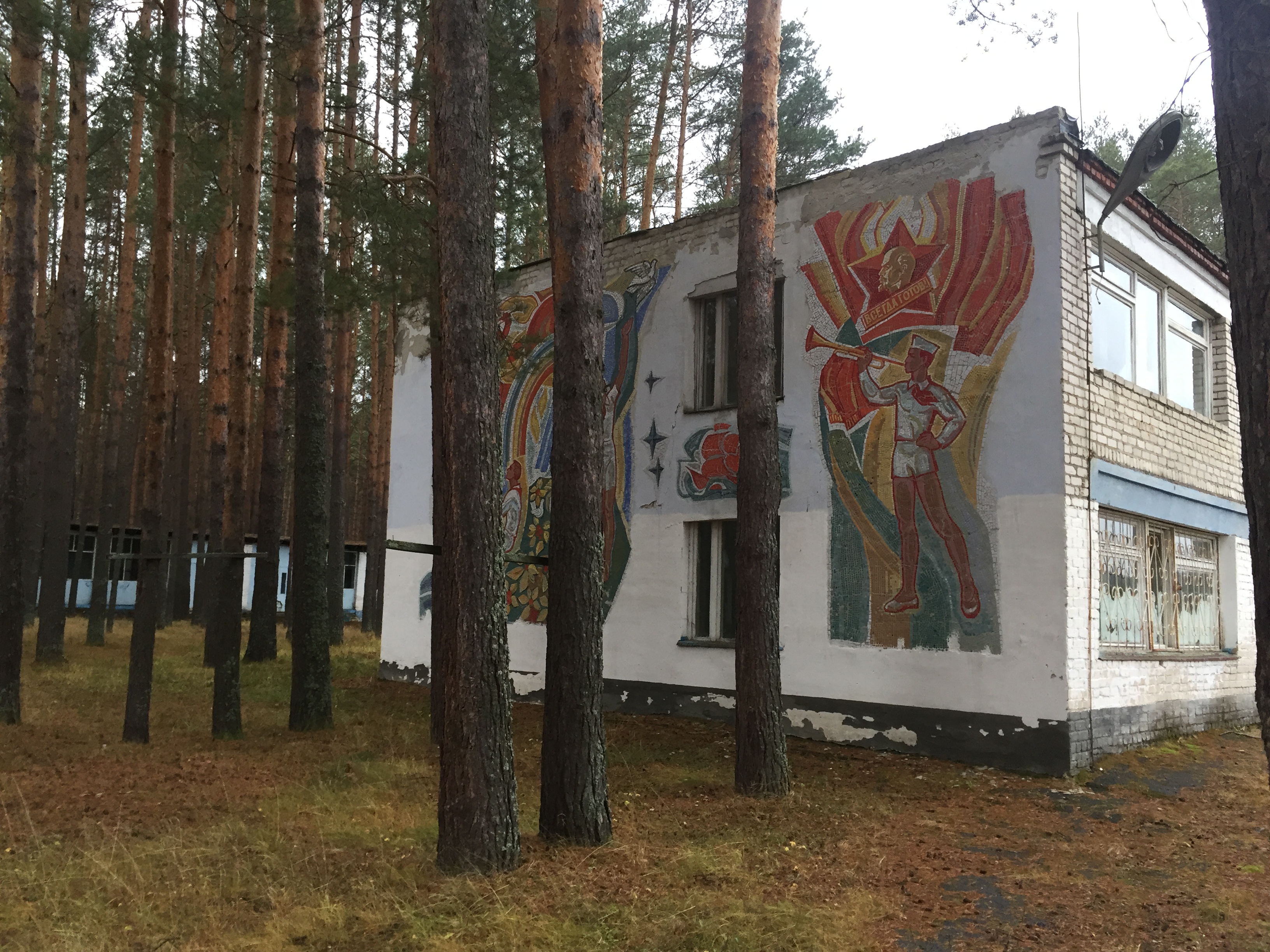 Комплекс им-ва, расположенный: Нижегородская обл, р-н Вадский, д Костино, Детский оздоровительный лагерь "Связист": Земельный участок Пл. 50000 +/- 78 кв. м., 10 (десять) Зданий об.пл. 3211,80 кв.м., 1 (одно) Сооружение (Трансформаторная подстанция №492) площадь застройки 20,2 кв.м. (подробное описание лота в Информационном сообщении)