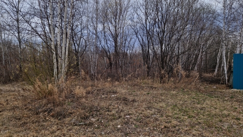 Земельный участок площадью 1500 кв. м, кадастровый номер 79:04:3700022:34,  местонахождение установлено относительно ориентира, расположенного в границах участка. Почтовый адрес ориентира:  Еврейская автономная обл., Биробиджанский р-н, с. Раздольное, ул. Вишневая, д. 9.