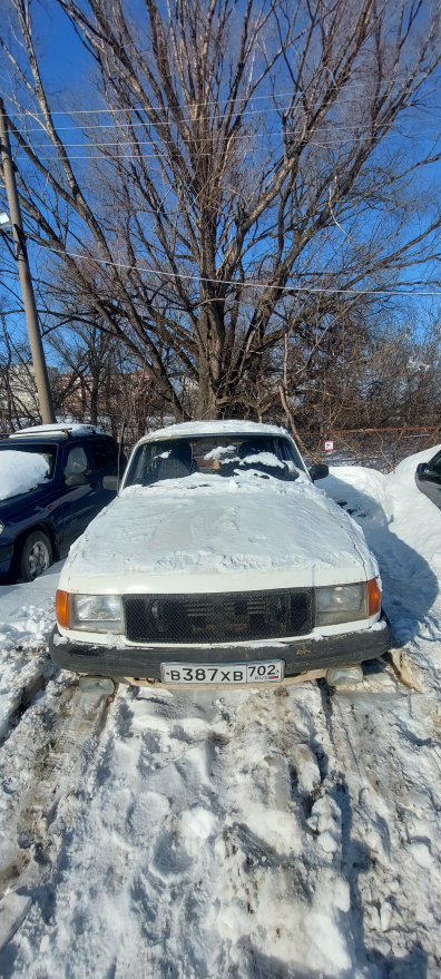 ГАЗ 310220, 1995 г.в., г/н В387ХВ702, vin XTH310220s0003788