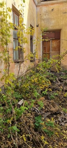Нежилое здание, общей площадью 967,1кв.м., кадастровый номер 74:35:2700012:29, расположенное по адресу: Челябинская область, г. Троицк, ул. Монтажников, д. 1 с земельным участком, общей площадью 3615кв.м., кадастровый номер 74:35:2700012:7, расположенным по адресу: Челябинская область, г. Троицк, ул. Монтажников, 1.