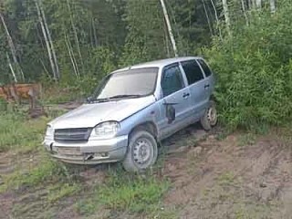 Автомобиль Шевроле-Нива, г/н Т494КМ124, 2004 г.в., VIN X9L21230040049095, двигатель № 0058642, цвет светло-серебристый металлик, комплектность и состояние  не проверялась данное  имущество обращено в доход государства, (Документы отсутствуют)Находится в Мотыгинском районе