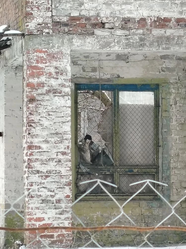 Недвижимое имущество: Здание, назначение: нежилое, площадь: 177,1 кв.м., количество этажей, в том числе подземных: 2, кадастровый номер: 46:06:170402:55, год завершения строительства 1968, расположенное на земельном участке, категория земель: земли населенных пунктов, вид разрешенного использования: культурное развитие, площадь: 1224 кв.м., кадастровый номер: 46:06:170402:53. Местоположение: Курская обл., Железногорский р-н, Кармановский с/с, с. Злобино