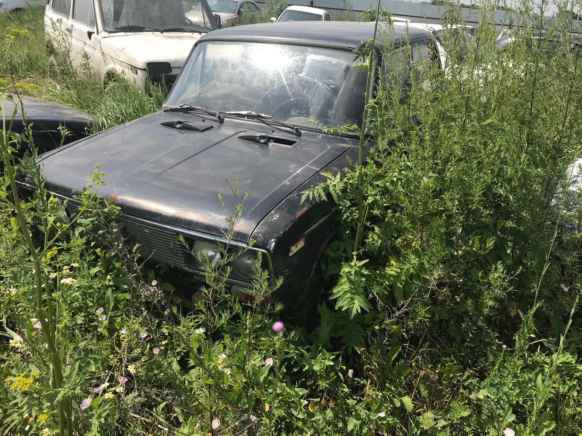 Автомобиль ВАЗ 21061, гос.рег.знак У 113ХВ 54 регион, VIN ХТА210610N2753863, 1991 года выпуска, кухов № ХТА21061002753863, цвет черный (ключи отсутствуют, СТС отсутствует, ПТС копия), Автомобиль марки "BMW523T", государственный регистрационный знак Р 064 АР 154 регион, 1998 г.в., номер кузова WBADH31030BY06233 (документы, ключи в наличии)