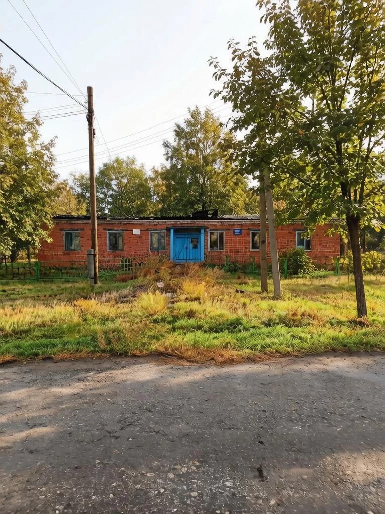 Здание на земельном участке площадью 2982 кв. м, по адресу: Курганская область, Петуховский район, с. Новое Ильинское, ул. Молодежная, д. 31