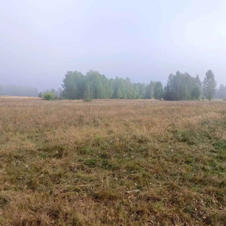 Земельный участок площадью 300126 кв. м с кадастровым номером 32:04:0010102:234, расположенный: Российская Федерация, Брянская область, Гордеевский муниципальный район, Уношевское сельское поселение, СПК "Колос" (бывшее схп "Уношевское") с/х пай, категория земель: земли сельскохозяйственного назначения, разрешенное использование: для сельскохозяйственного производства