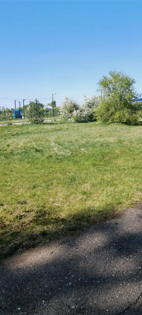 размещение нестационарного торгового объекта