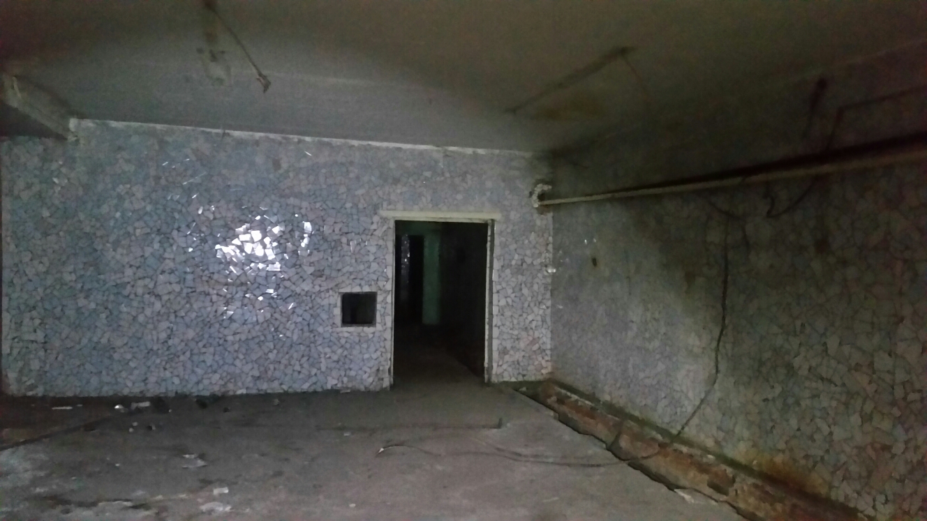 Нежилое помещение № 1 с кадастровым номером 74:36:0203001:2056 площадью 301,5 кв. м расположенное по адресу: г. Челябинск, ул. Арзамасская 3-я, д. 9