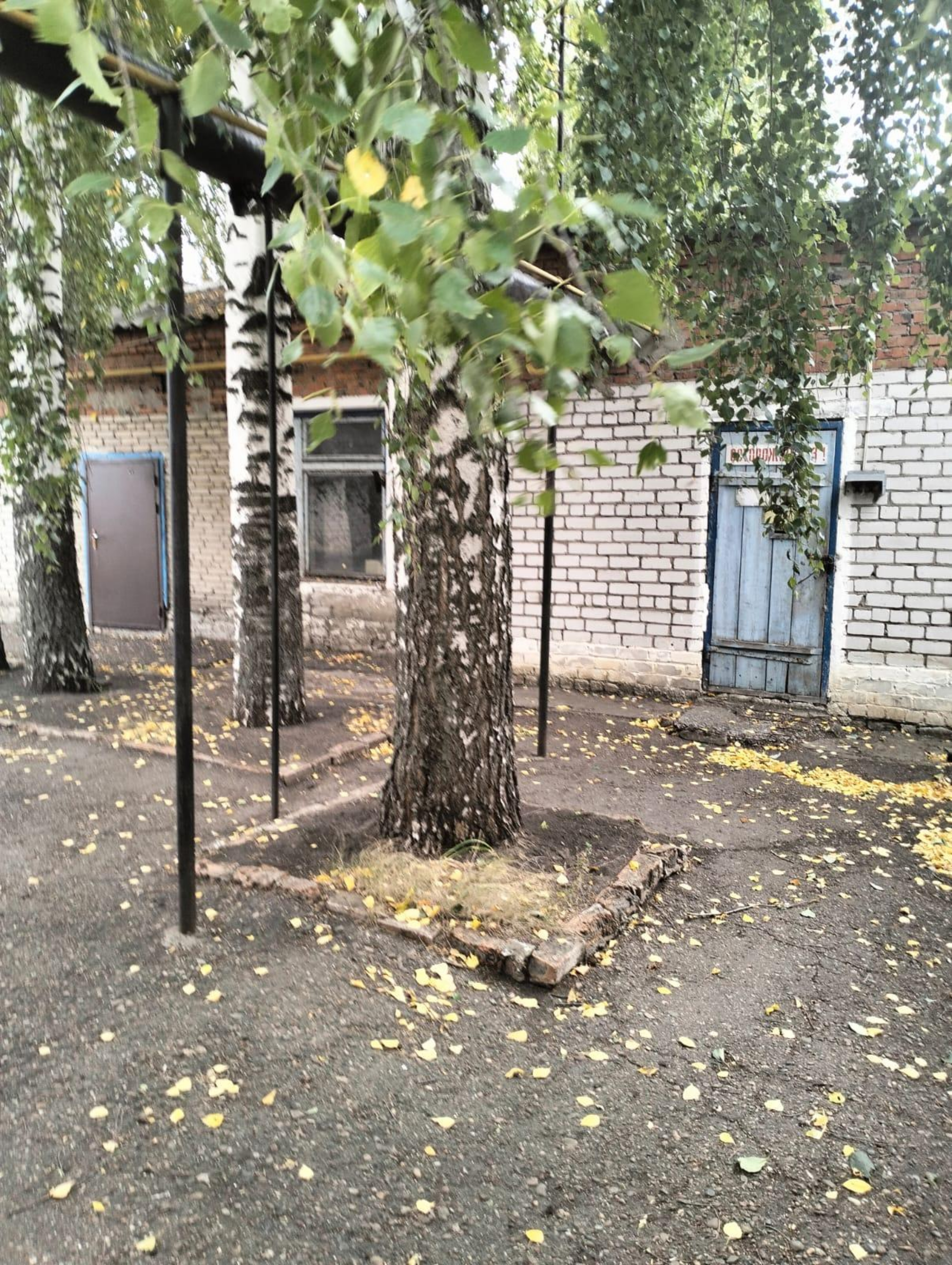 Аукцион в электронной форме по продаже лота - земельный участок с кадастровым номером 21:25:180314:339 площадью 300 кв. м с расположенным на нем объектом недвижимого имущества, местоположение: Чувашская Республика-Чувашия, Яльчикский муниципальный округ, с Яльчики, ул Новая, д 1