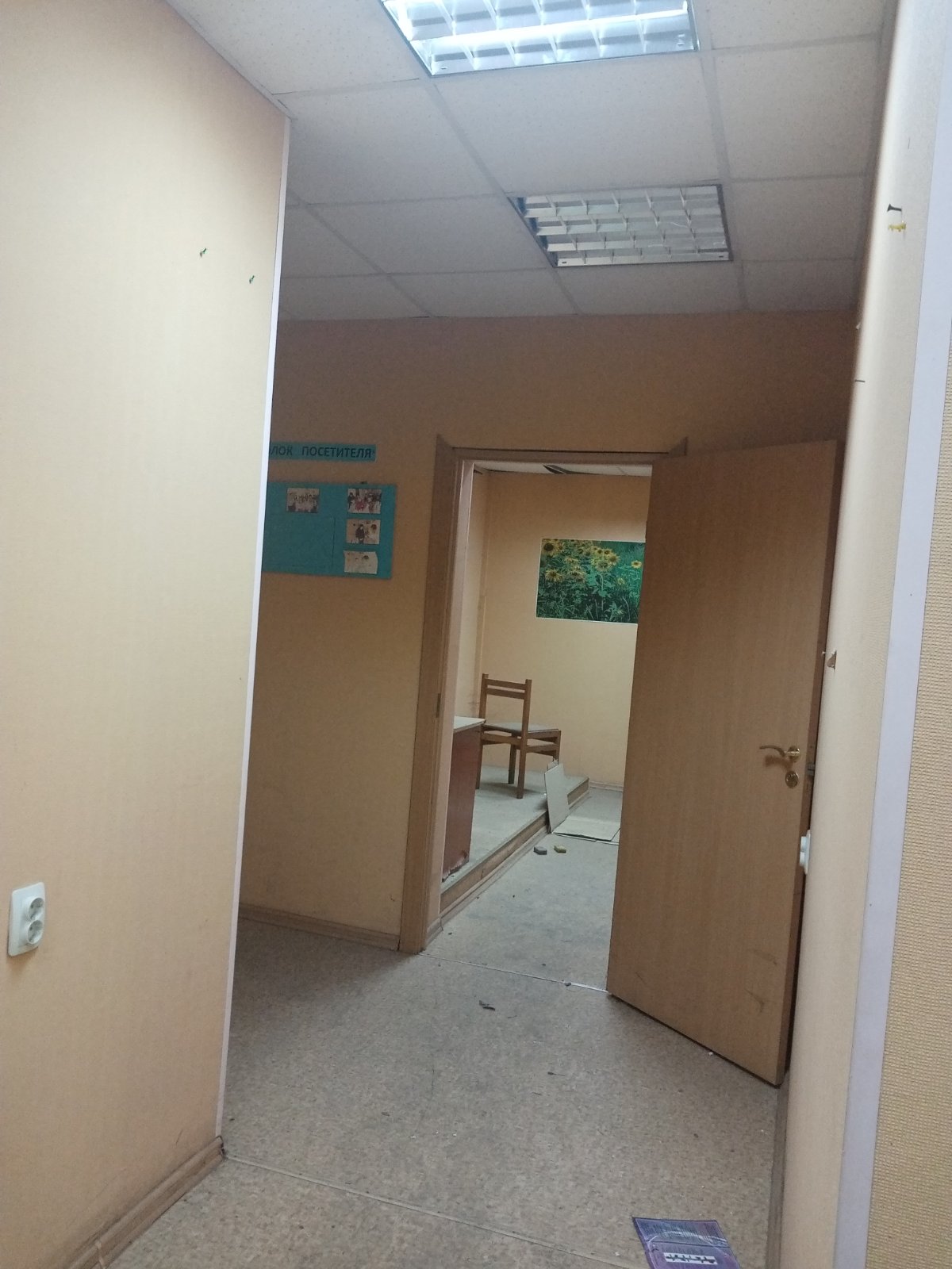 помещение, назначение: нежилое, подвал № 1, общей площадью 55,2 кв.м, кадастровый номер 38:36:000033:40496, расположенное по адресу: Иркутская область, г. Иркутск, улица Гоголя, дом 2