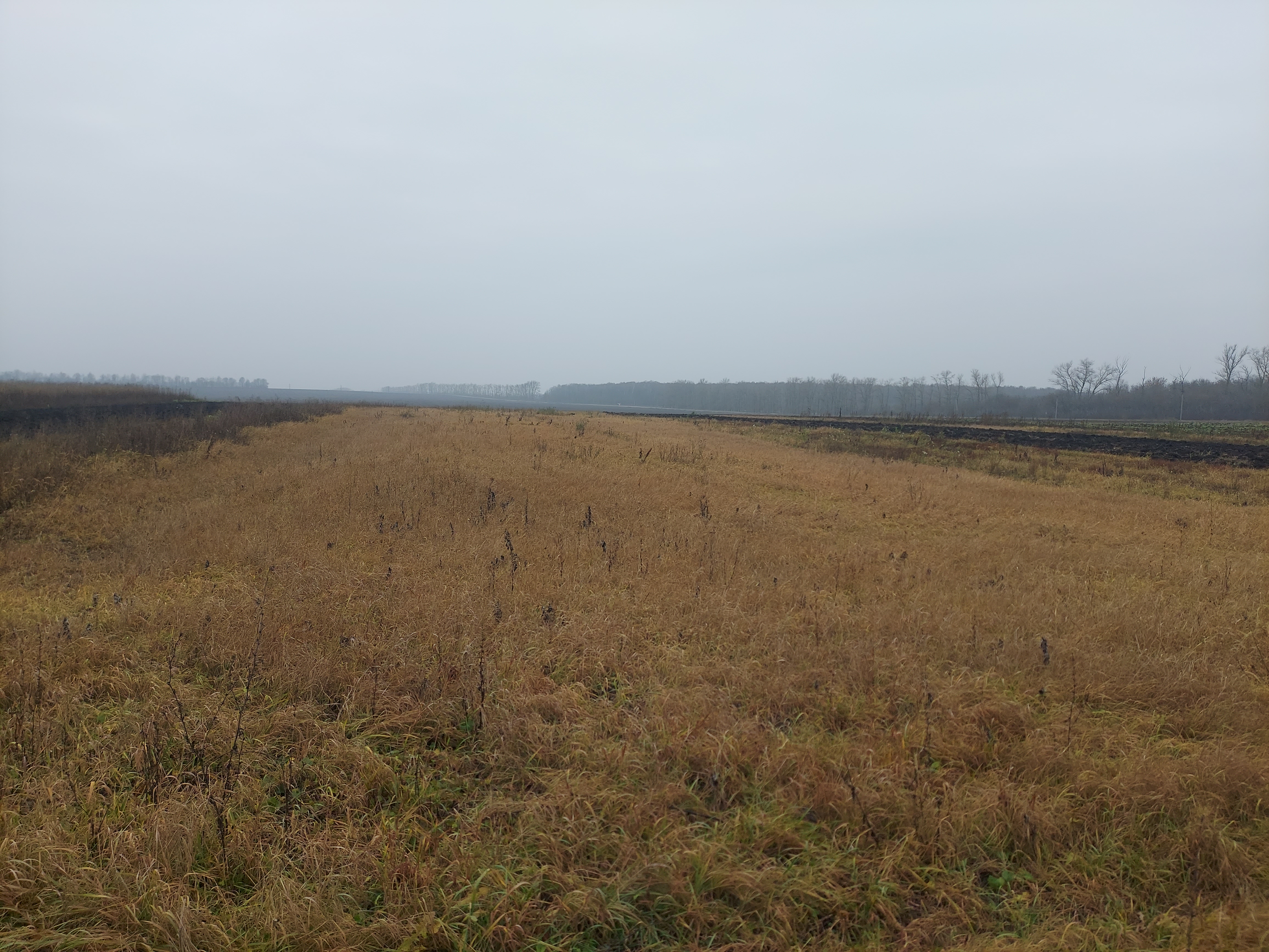 Земельный участок
