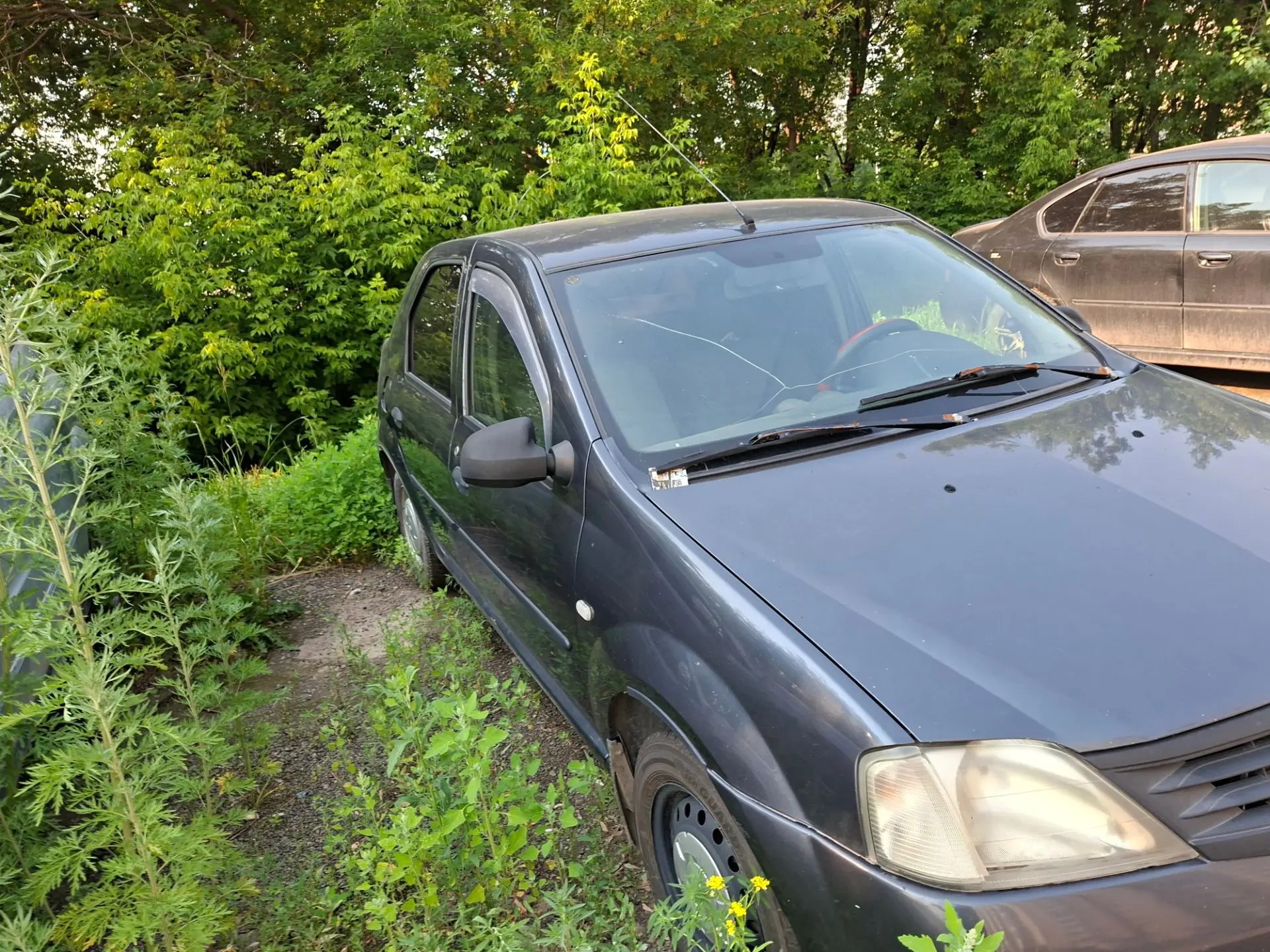 Автомобиль Renault Logan, г/н Х091СК124, 2006г.в., VIN X7LLSRAGH6H015736. Рабочее состояние, и комплектность автомобиля не проверялось. Находится в г. Красноярск, данное имущество обращено в доход государства (Документы, ключи отсутствуют). (204/26)