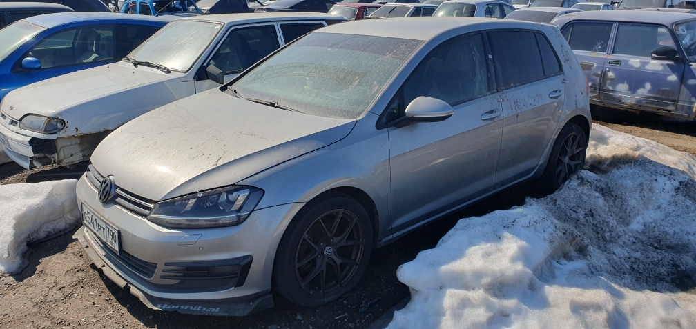Автомобиль марки Volkswagen Golf (541)