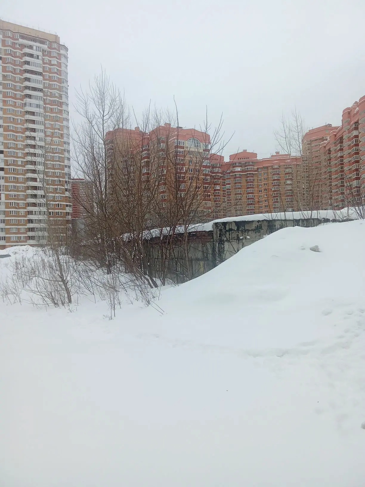 Помещение с кадастровым номером 02:55:000000:32978