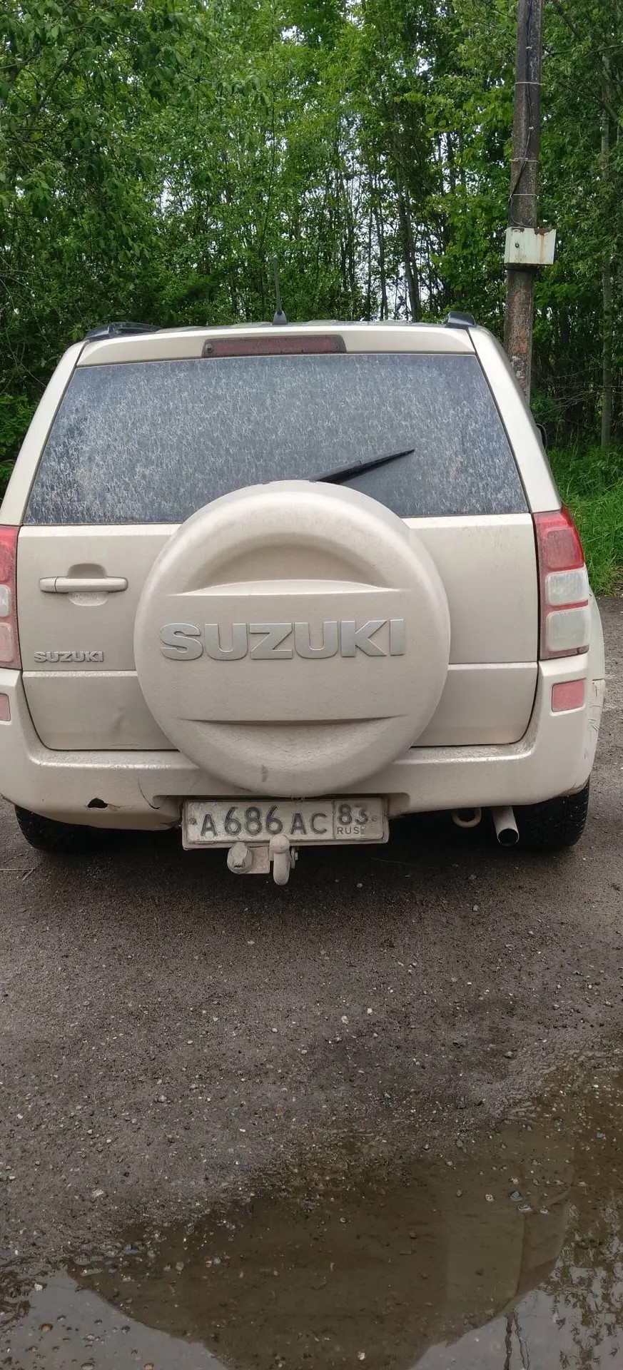 Транспортное средство Suzuki Grand Vitara, 2008 года выпуска, цвет - бежевый, VIN JSAJTD54V00310916, государственный номер A686AC83. Состояние ТС: повреждения и дефекты кузова, разбито зеркало и задний бампер.